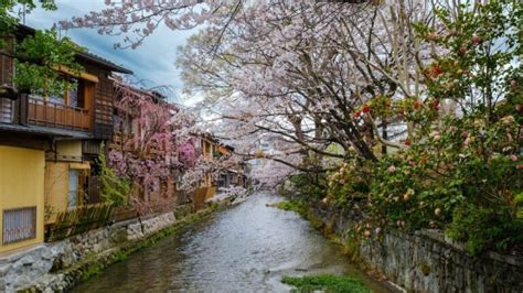 BEST Guide for Choosing Between Kyoto vs Osaka (2024)