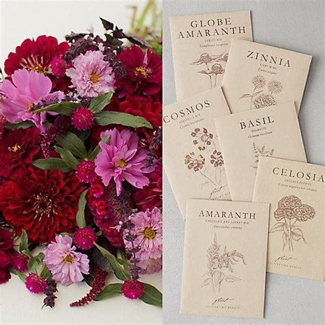 Floret Flower Seed Collection | Flower seeds, Globe amaranth, Flower farm