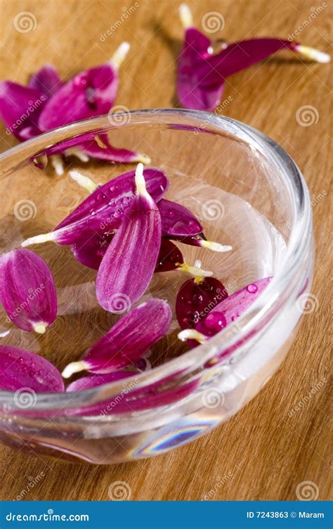 Spa with flower stock image. Image of skin, spirit, health - 7243863