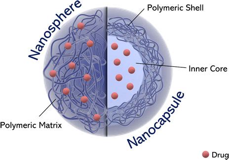 Frontiers | Biodegradable Polymeric Nanoparticles for Drug Delivery to Solid Tumors