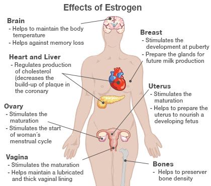 Health Moment: Benefits From 10 Years of Anti-Estrogen Therapy - Cleverly Changing