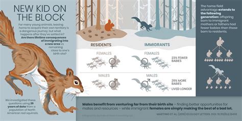 Leaving home is beneficial for male squirrels but not for females, study shows | Faculty of Science