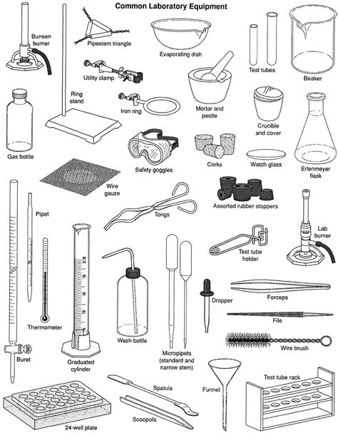 Common Laboratory Equipment