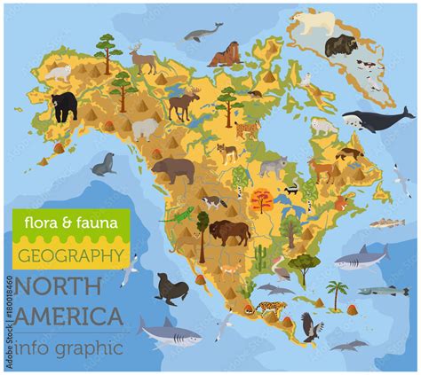 North America flora and fauna map, flat elements. Animals, birds and sea life big set. Build ...