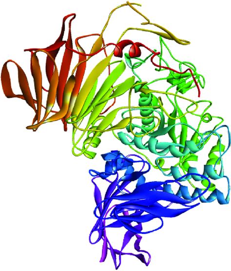 3-D Structure of human β-glycosidase (PDB ID: 2JFE). | Download Scientific Diagram