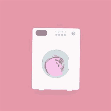 Cat Washing GIF - Cat Washing Machine - Discover & Share GIFs