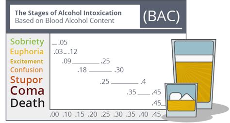 Alcohol Intoxication Levels