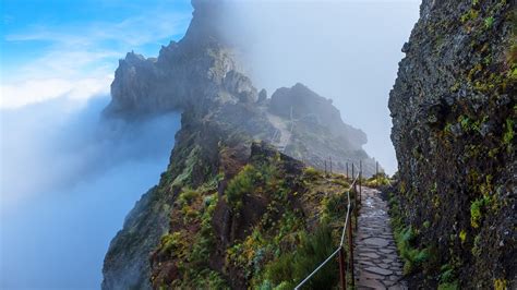 Mountain trail in Madeira above the clouds on a sunny afternoon, Portugal | Windows Spotlight Images