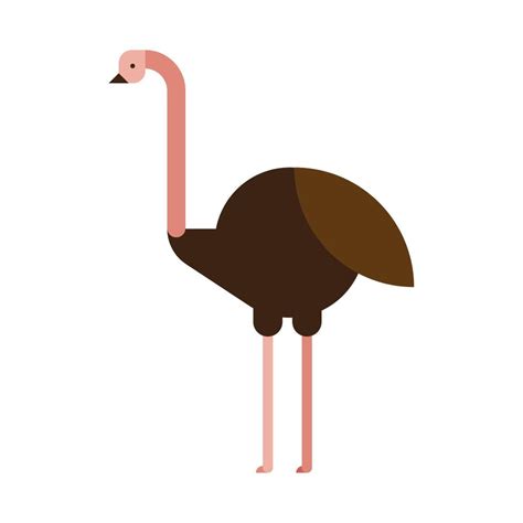 ostrich basic forms 11146149 Vector Art at Vecteezy