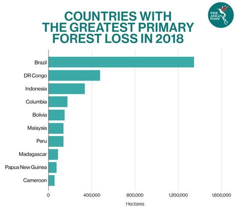 Deforestation: A Threat To The Heart Of Borneo | The ASEAN Post