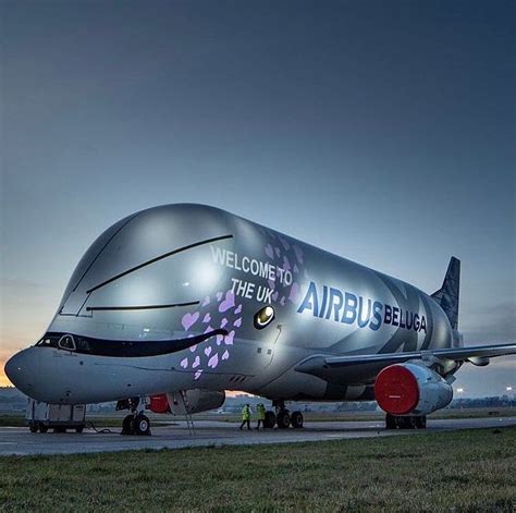 Airbus image by Bertram65 on flying in 2020 | Aviation, Beluga