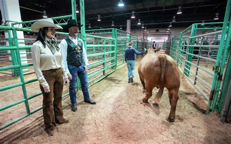 Houston Rodeo 'auction angels' champion student livestock show underdo