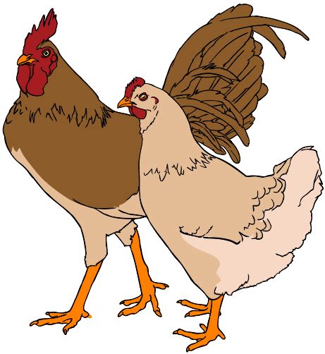 File:Rooster and hen clipart 01.svg - Wikimedia Commons