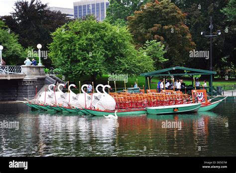 Swan Boat ride in Public Garden, Boston Commons park, Boston, Massachusetts, USA Stock Photo - Alamy