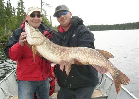 First Class Fishing on Reindeer Lake | Bay lodge, Fishing lodge, Fish