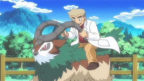 Ride That Gogoat! | Anime, Pokemon, Pokémon master