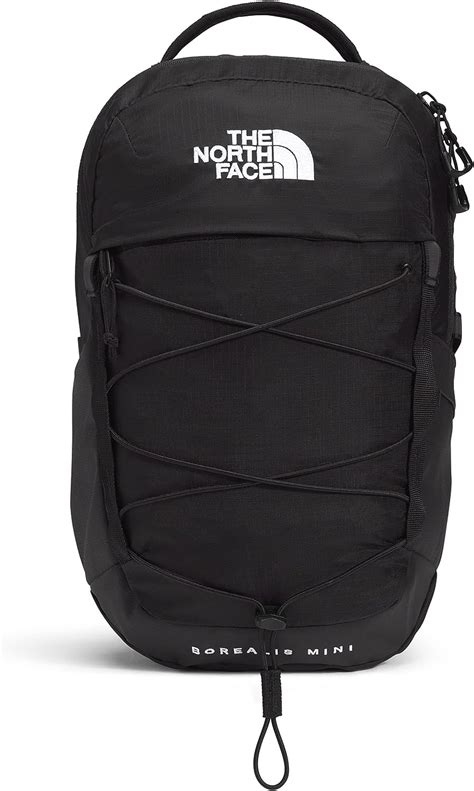 Amazon.com: The North Face 10L Mini Borealis Laptop Backpack, TNF Black ...