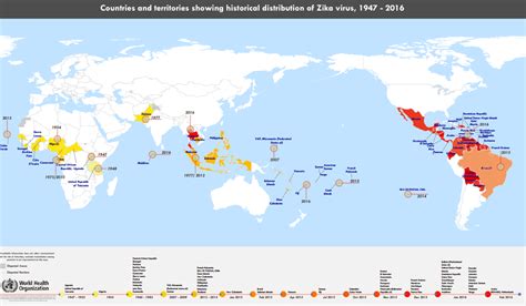 How the Zika Virus Spread Across the World