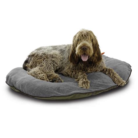 Classic Accessories™ Folding Dog Bed - 206611, Kennels & Beds at Sportsman's Guide