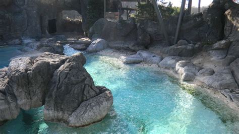 North Carolina Zoo - Satchell Engineering & Associates, Inc.