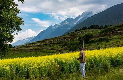 Canola in Yunnan | China | Rod Waddington | Flickr