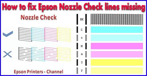 How To Fix Epson Nozzle Check Lines Missing Any Printer [L3110-L3156 ...