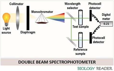 Difference Of Single Beam And Double Spectrophotometer - The Best Picture Of Beam