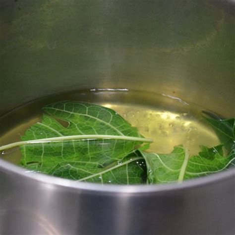 5 Top Benefits Of Papaya Leaf Juice For Dengue & Cancer + Papaya Leaf ...