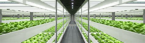 Indoor Farming - National Design Build Services