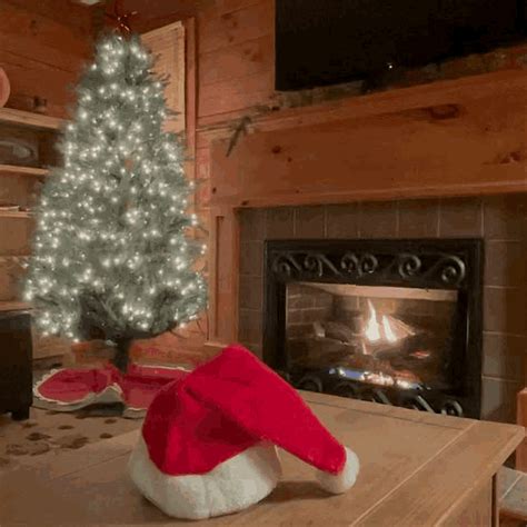 Fireplace Cozy GIF - Fireplace Cozy Christmas - Discover & Share GIFs