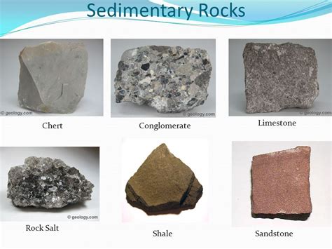 Types of Sedimentary Rocks - Valeria-has-Kane