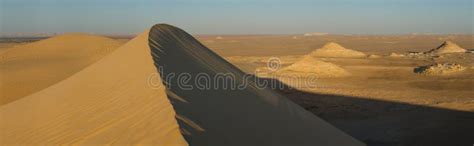 Oasis In Sahara Desert In Egypt Stock Photo - Image of africa, golden ...