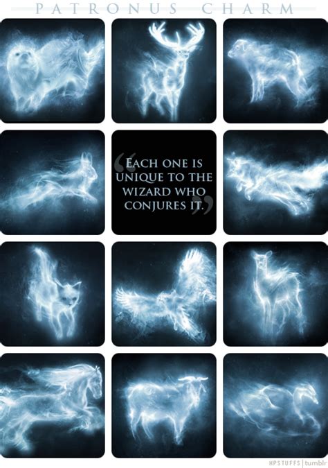 Patronus Charm - Harry Potter Photo (28859813) - Fanpop