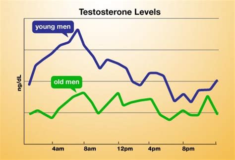 Advanced Health and ENDOCRINE | Stephen Castorino MD