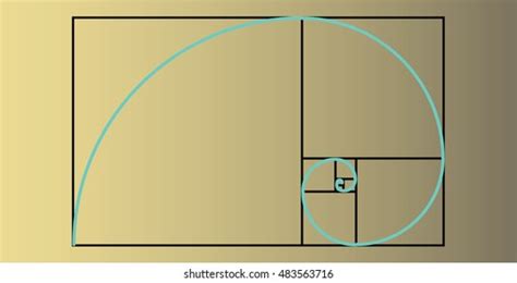 Golden Ratio Proportion Stock Illustration 483563716 | Shutterstock