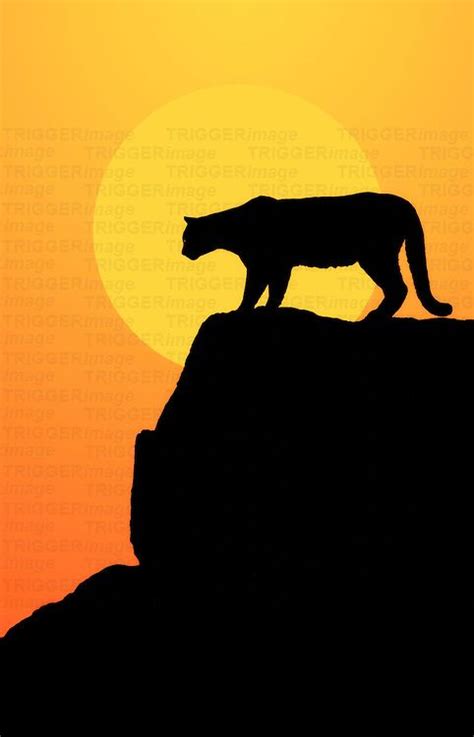 silhouette mountain lion art - Google Search