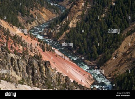 Grand Canyon of the Yellowstone River, from Inspiration Point, Yellowstone National Park ...