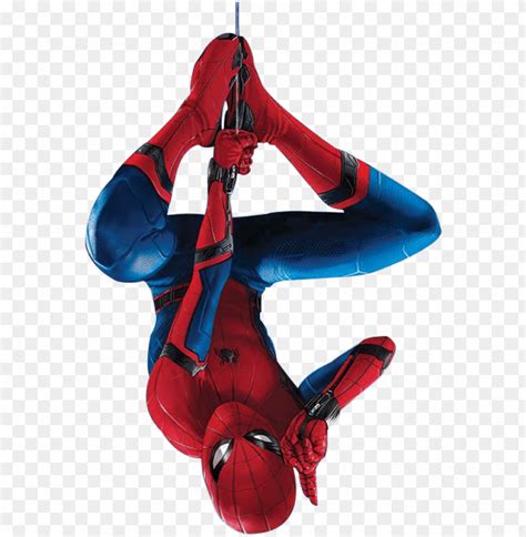 Free download | HD PNG spider man homecoming by spiderman hanging upside dow PNG transparent ...