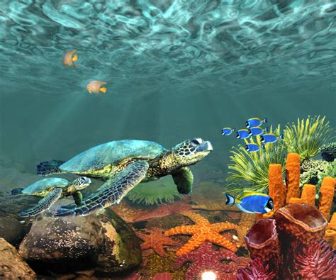 🔥 [50+] Live Underwater Wallpapers for PC | WallpaperSafari