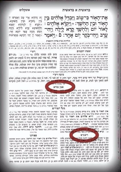 Can The Torah Contradict Halacha? - TheTorah.com : r/Judaism