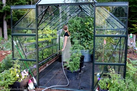 Greenhouse Vegetable Gardening - One Hundred Dollars a Month