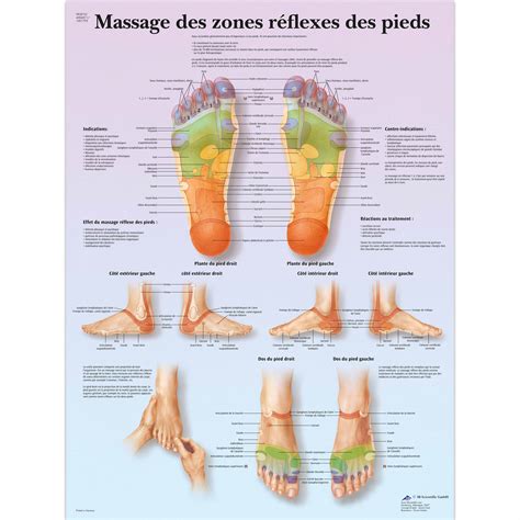 Reflexologia Do Pé Acupuntura Ponto Gráfico Anatomia Impressão Arte Da ...