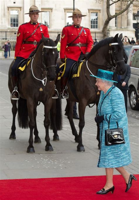 17 Best images about Royal Canadian Mounted Police on Pinterest ...