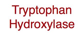 Enzyme to Know: Tryptophan Hydroxylase – Functional Performance Systems (FPS)