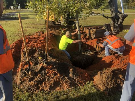 Proper Tree Planting | Gardening in the Panhandle