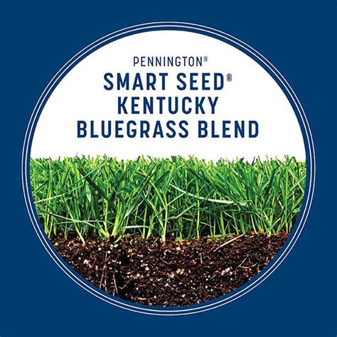 Smart Seed Kentucky Bluegrass - Grass Seed | Pennington