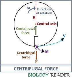 What is Centrifugation Method? Definition, Principle, Types & Uses ...