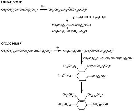 Polymers | Free Full-Text | Chemistry of Dimer Acid Production from ...