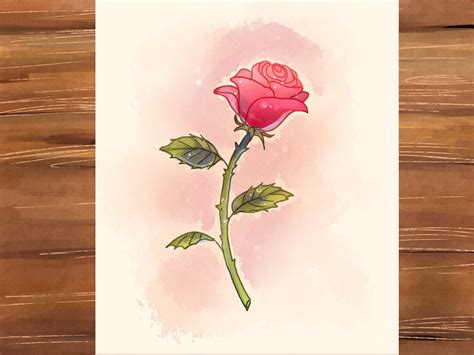 How to Draw a Rose | Flower drawing, Roses drawing, Rose drawing