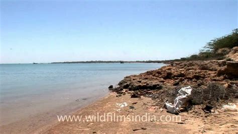 Dwarka beach, Gujarat - is that red colour from chemicals? - YouTube